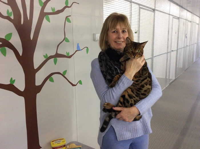 Jill with one of her guests in the new cattery